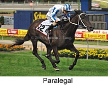 Paralegal (18294 bytes)