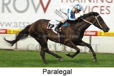 Paralegal (18294 bytes)