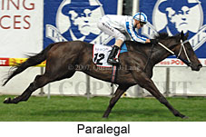 Paralegal (18294 bytes)