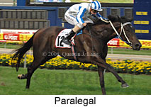 Paralegal (18294 bytes)