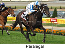 Paralegal (18294 bytes)