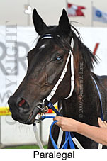 Paralegal (18294 bytes)