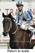 Return to scale (18294 bytes)