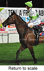 Return to scale (18294 bytes)