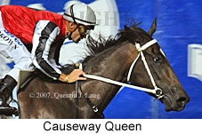 Causeway Queen (18294 bytes)