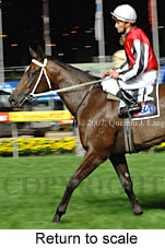 Return to scale (18294 bytes)