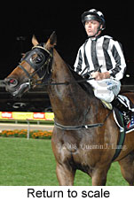 Return to scale (18294 bytes)