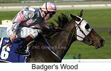 r5badger'swood.jpg (13190 bytes)