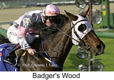 r5badger'swood2.jpg (15295 bytes)