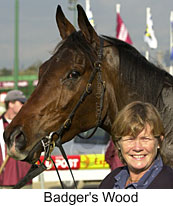 r5badger'swood3.jpg (13947 bytes)