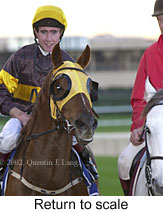 r7rtosc.jpg (13322 bytes)