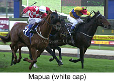 r8mapua.jpg (16223 bytes)