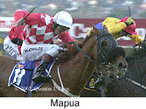 r8mapua2.jpg (13815 bytes)