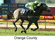 Orange County (18294 bytes)