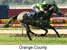 Orange County (18294 bytes)