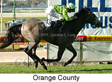 Orange County (18294 bytes)