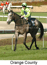 Orange County (18294 bytes)