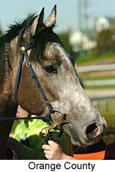 Orange County (18294 bytes)