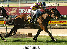 Leonurus (18294 bytes)