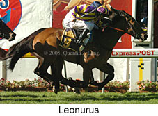 Leonurus (18294 bytes)