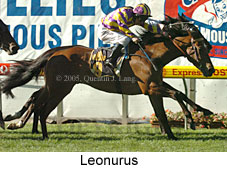 Leonurus (18294 bytes)