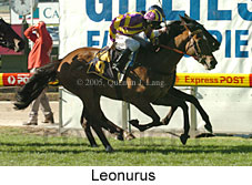 Leonurus (18294 bytes)