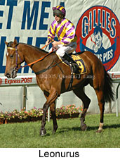 Leonurus (18294 bytes)