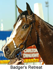 Badger's Retreat (18294 bytes)