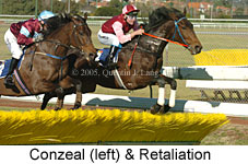 Conzeal & Retaliation (14102 bytes)