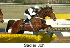 Sadler Joh (14102 bytes)