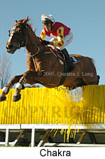 Chakra (14102 bytes)