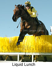 Liquid Lunch (18294 bytes)