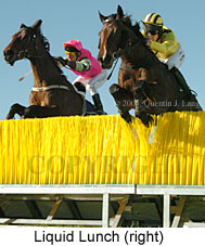 Liquid Lunch (18294 bytes)