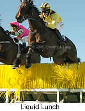 Liquid Lunch (18294 bytes)