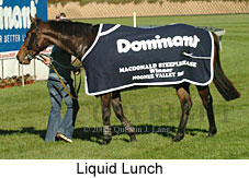 Liquid Lunch (18294 bytes)