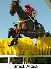 Snack Attack (14102 bytes)