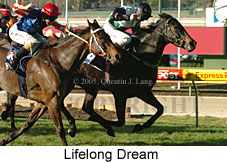 Lifelong Dream (18294 bytes)