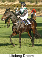 Lifelong Dream (18294 bytes)