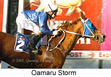 Oamaru Storm (18294 bytes)