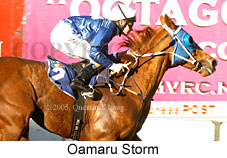 Oamaru Storm (18294 bytes)