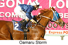 Oamaru Storm (18294 bytes)