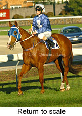 Return to scale (14102 bytes)