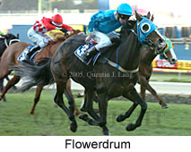 Flowerdrum (18294 bytes)