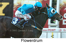 Flowerdrum (18294 bytes)