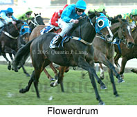 Flowerdrum (18294 bytes)