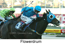 Flowerdrum (18294 bytes)