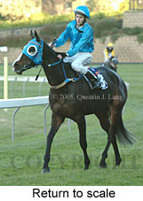 Return to scale (14102 bytes)