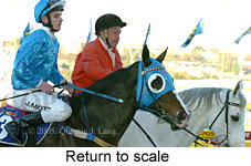 Return to scale (14102 bytes)