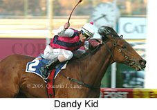 Dandy Kid (18294 bytes)
