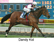 Dandy Kid (18294 bytes)